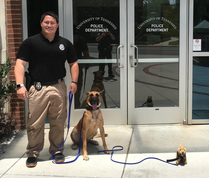 When it's bring your dog to work day, but you're a K-9 unit.