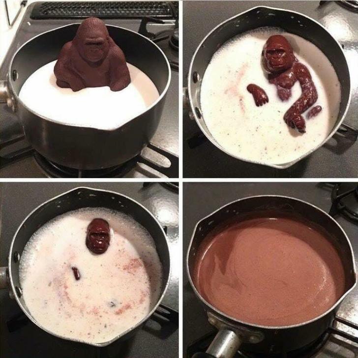 RIP in Milk, Koko the Gorilla