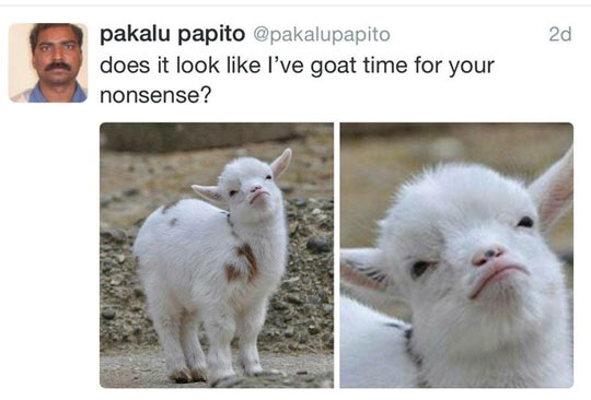 You Tell Them, Goat