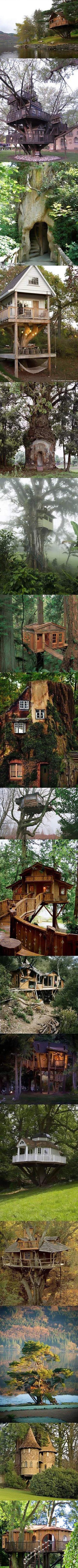 I Need A Grownup Tree House In My Life