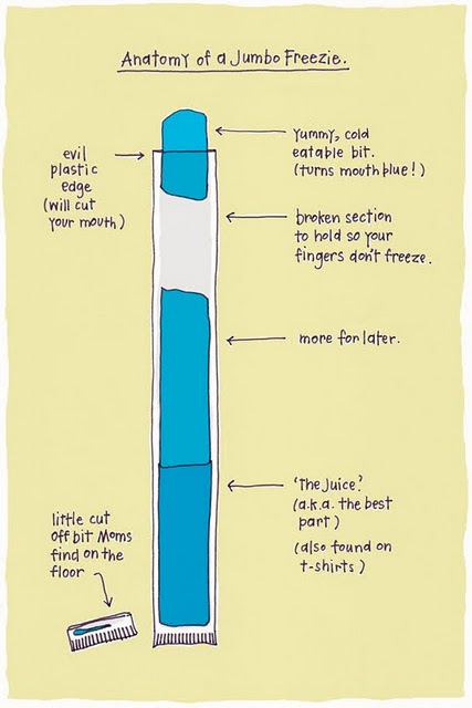 Anatomy of a jumbo freezie.