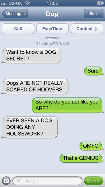 Want to know a secret about dogs?