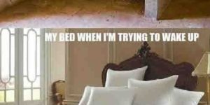 Scumbag bed…