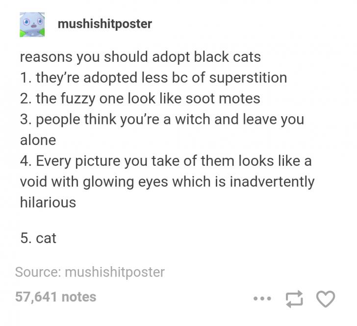 Why you should adopt black cats