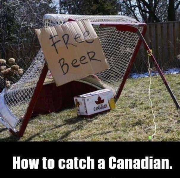 How to catch a Canadian.