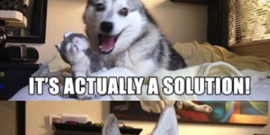 Bad science pun dog