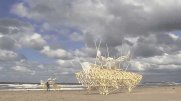 Strandbeests - wind-propelled kinetic sculptures created by Theo Jansen