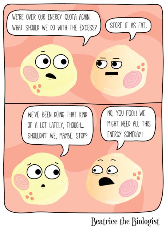 Fat cells are dumb.