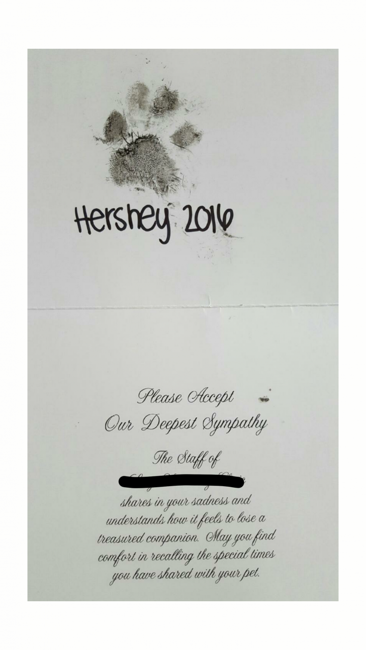 Our veterinary clinic sent us a sympathy card with our dog's paw print on it.