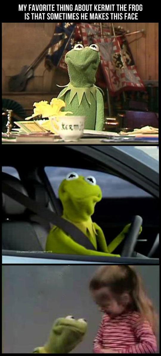 Favorite Thing About Kermit