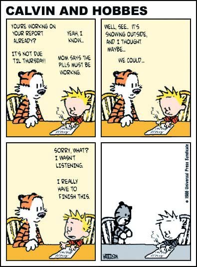 The end of Calvin and Hobbes.