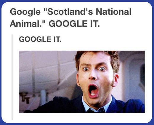 Go on... Google it.