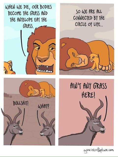 Circle of Life