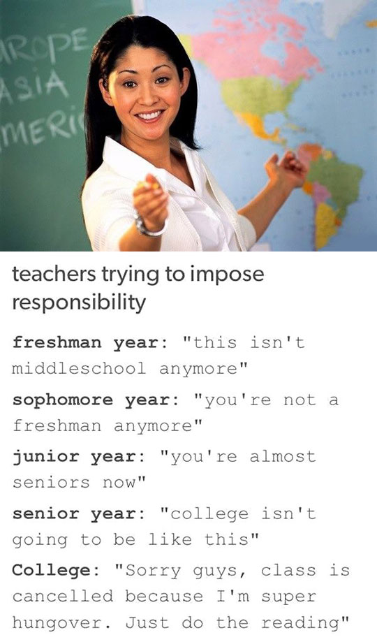 Teachers In A Nutshell