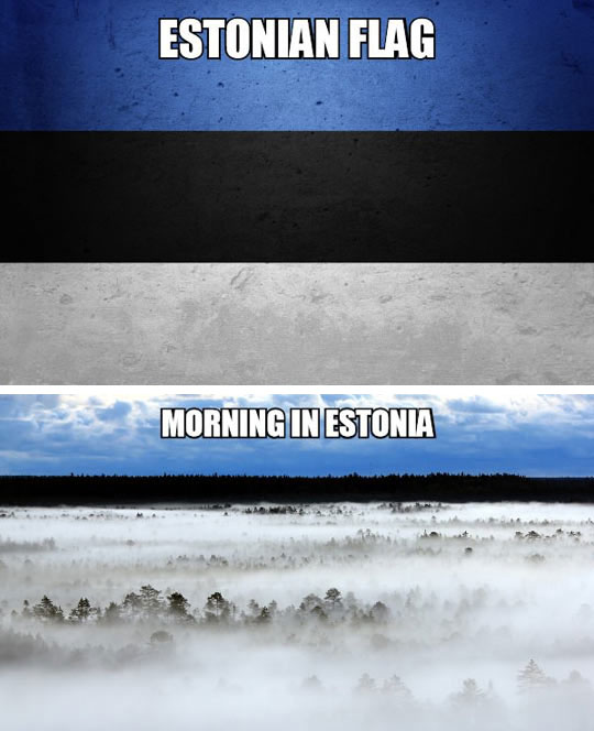 Just Estonia Being Estonia