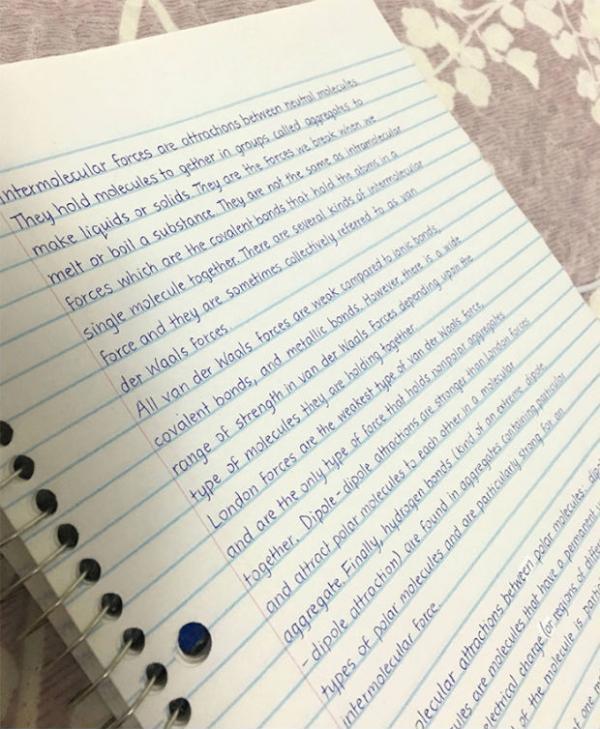 This handwriting is amazing