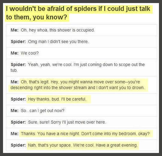 If spiders could talk