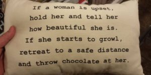 Homegoods pillow on comforting women.