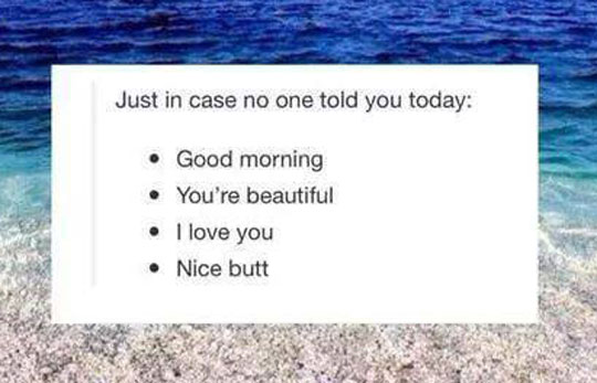 In case nobody told you today...