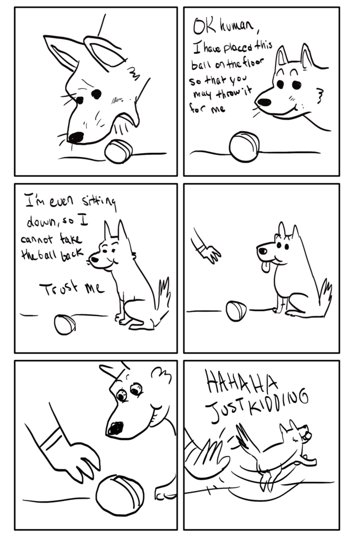 dog pranks