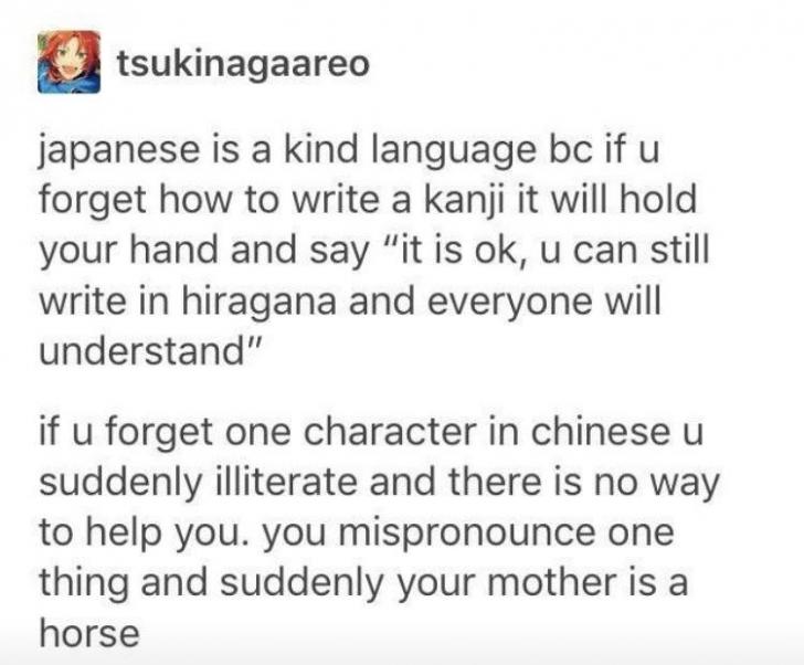 Chinese is hard and your mother is a horse.