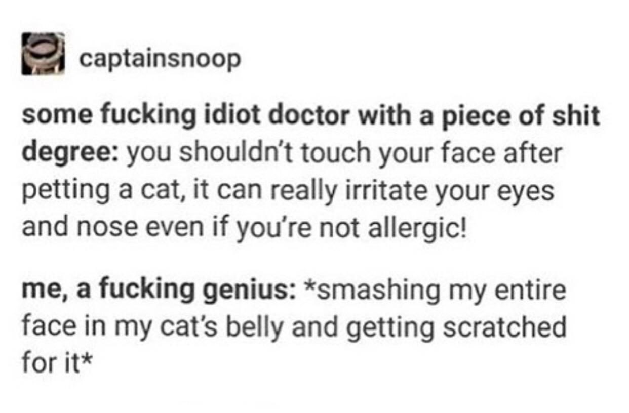 Cats