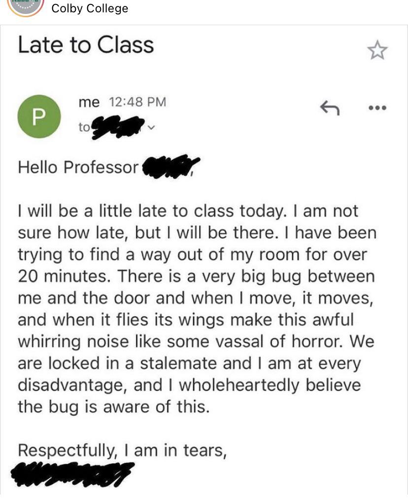 I may not make it out alive, Professor.