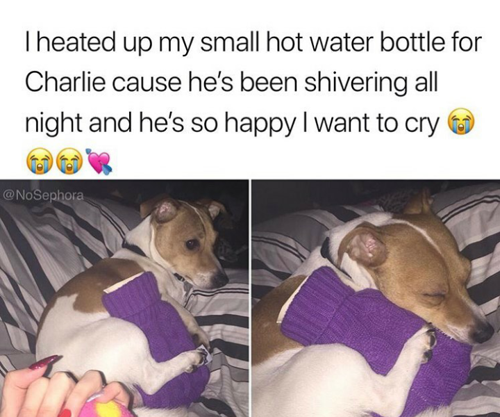 Keep Charlie warm.