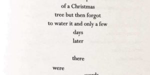 A very Christmas poem.