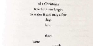 A+very+Christmas+poem.