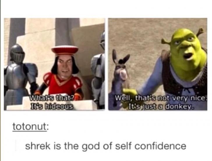 Shrek is Life