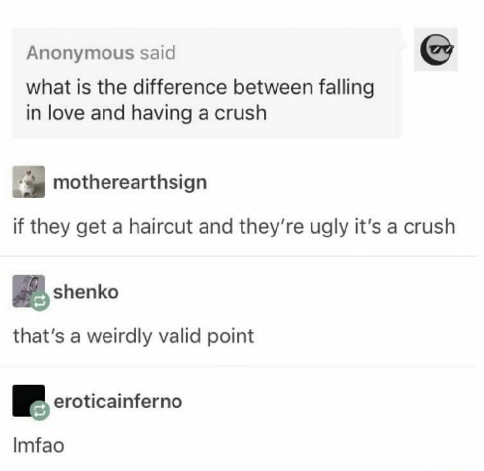 Falling in love VS having a crush