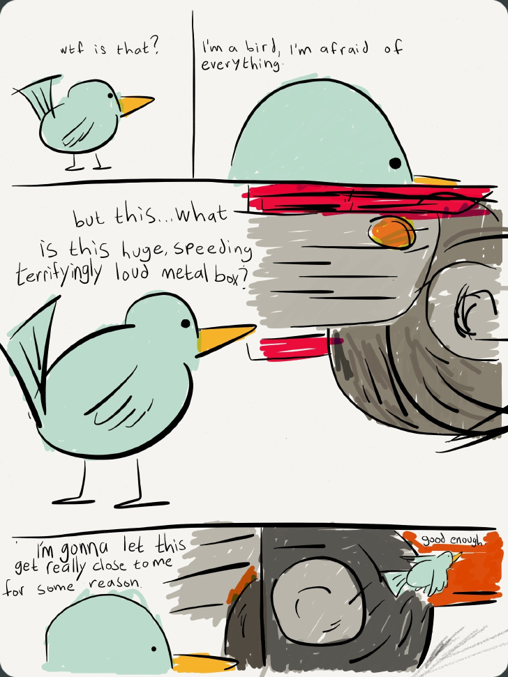 Bird Logic.