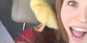 Acceptable+duck+face