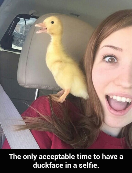 Acceptable duck face
