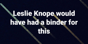 Leslie Knope 2020