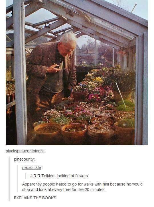 It takes a long time to do anything with J.R.R Tolkien.