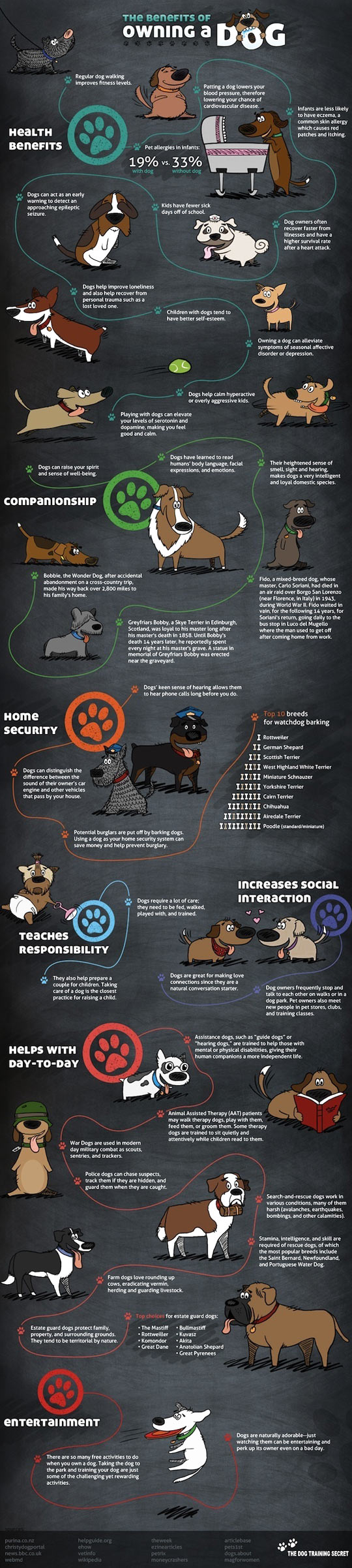 The benefits of owning a dog.