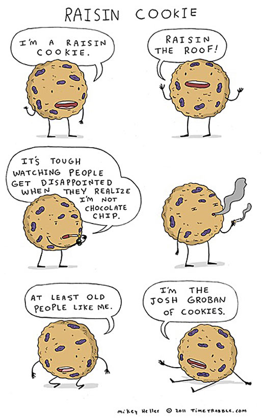 The life of a raisin cookie.