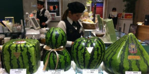 Shopping for watermelon in Japan.