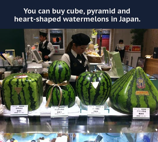 Shopping for watermelon in Japan.