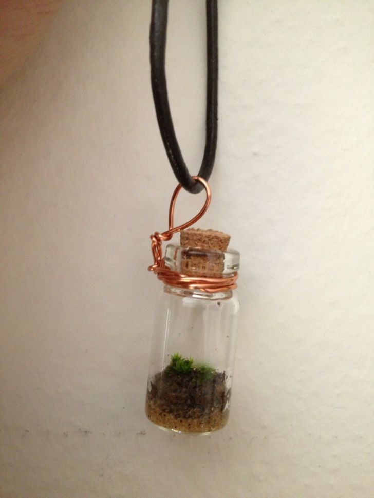 A tiny necklace terrarium