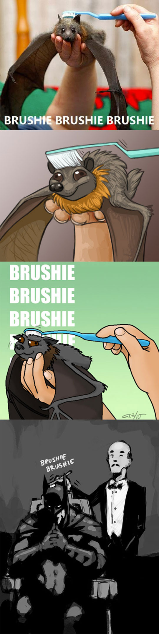 Brushing Bats