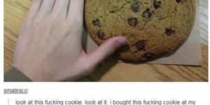 The cookie was a social experiment…