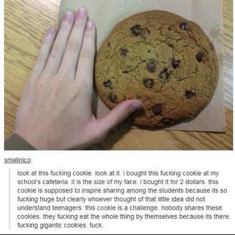The cookie was a social experiment...