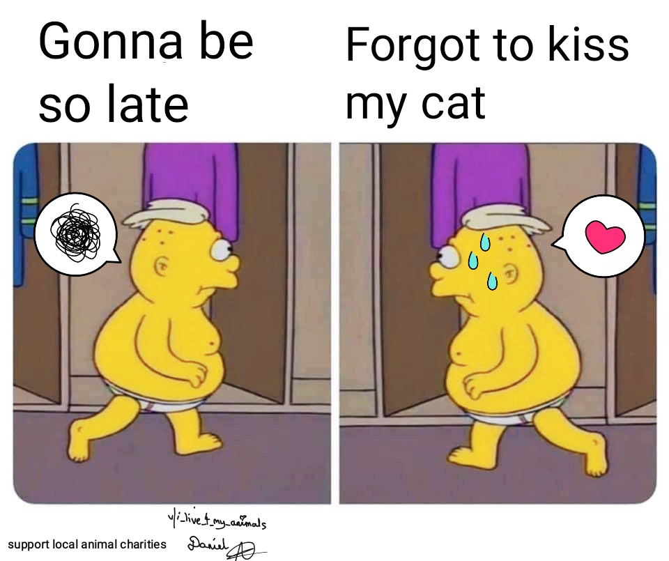Got to kiss gato.