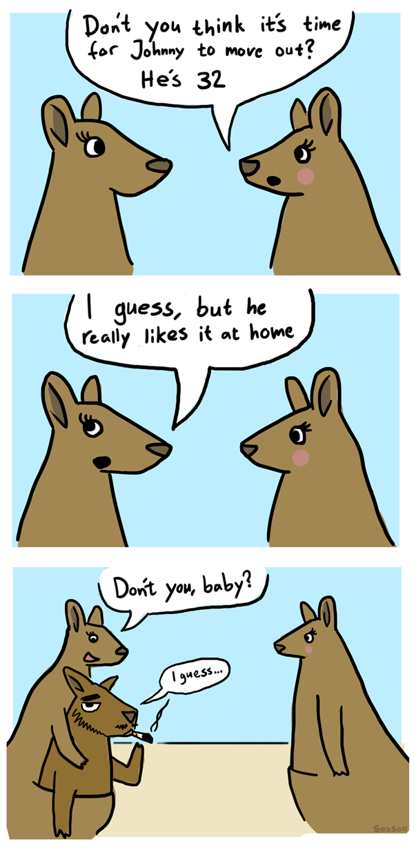 Kangaroos