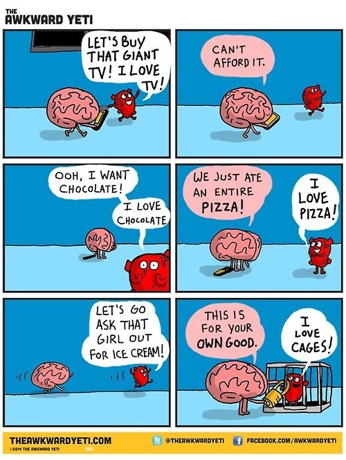 Heart vs Brain