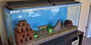 Best. Fish tank. Ever.