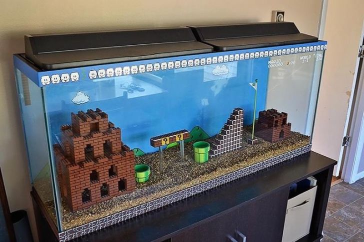 Best. Fish tank. Ever.